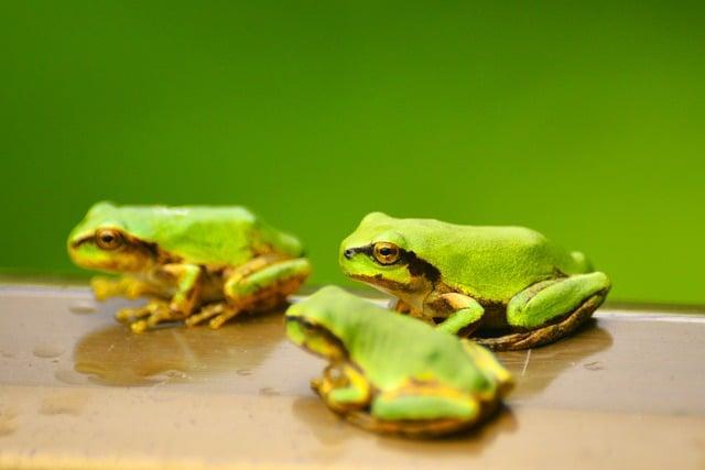 人死後自己會知道嗎？