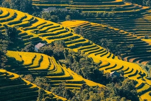 旅遊業怎麼賺錢？