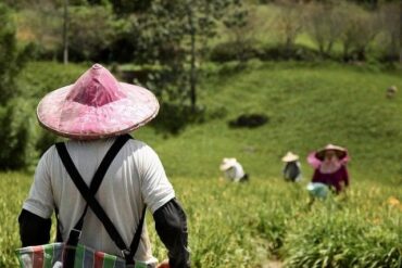 台灣的人均收入是多少？